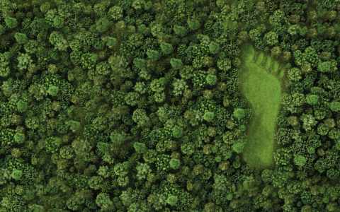 Klimafreundliches Bauen: So kann es funktionieren – Ressourcen schonen und CO2 sparen